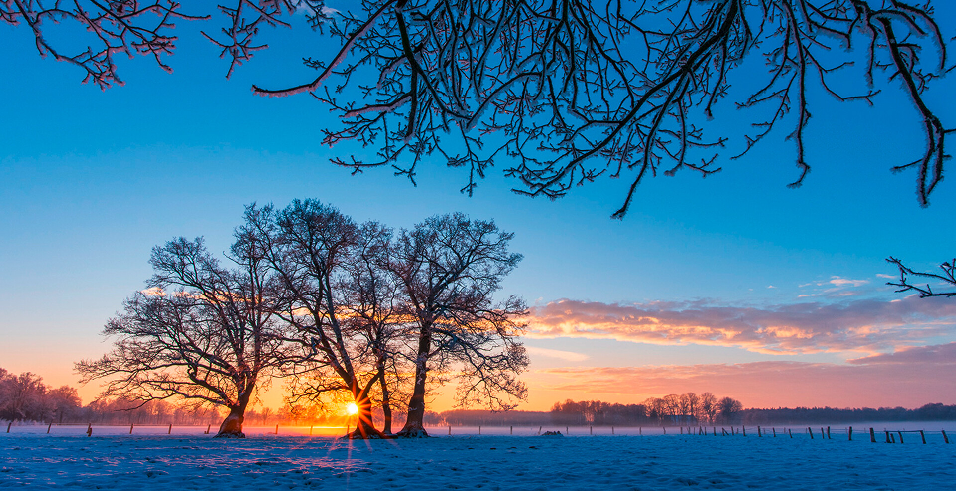 Inspiration<span>Natur</span>