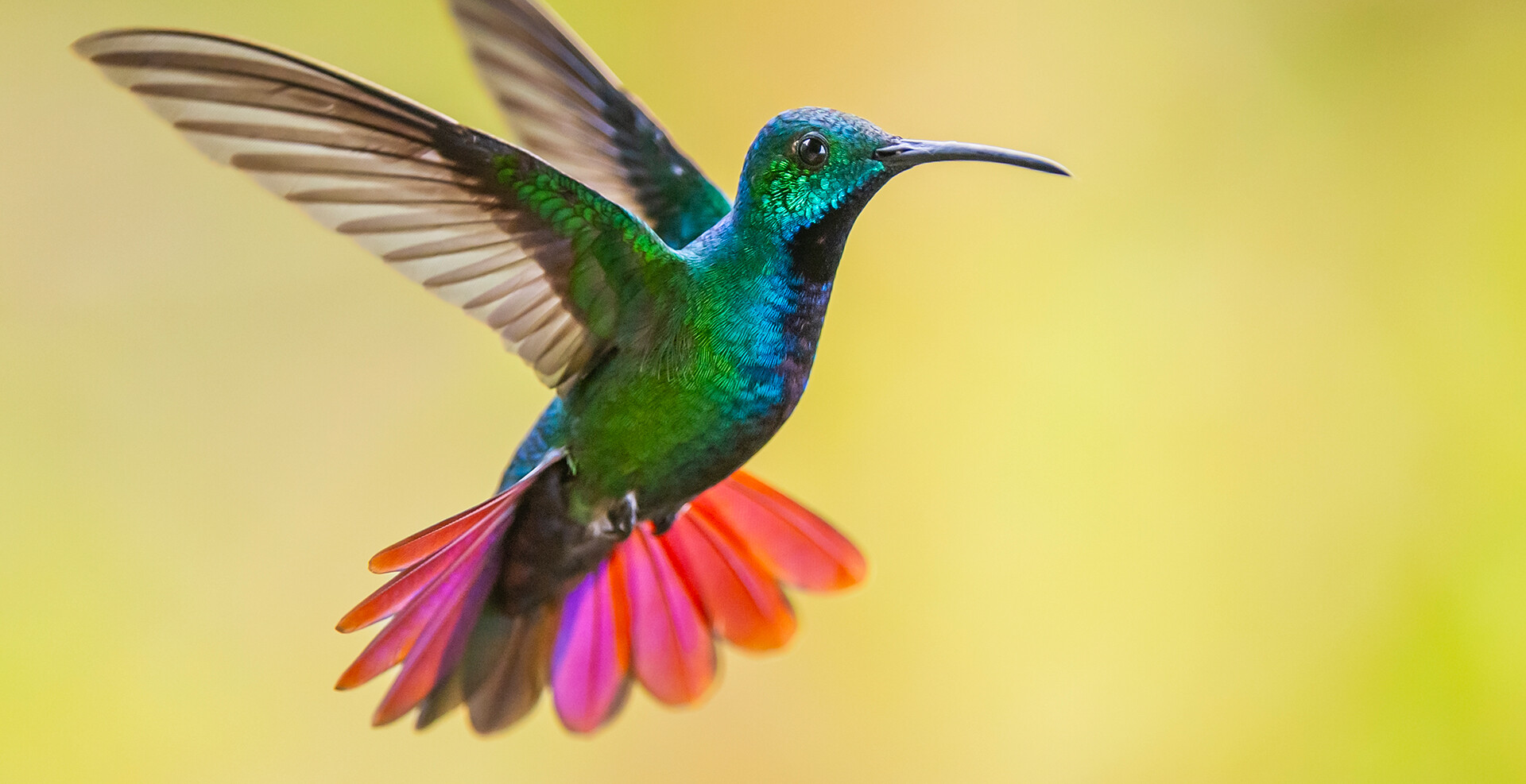 Inspiration<span>Natur</span>