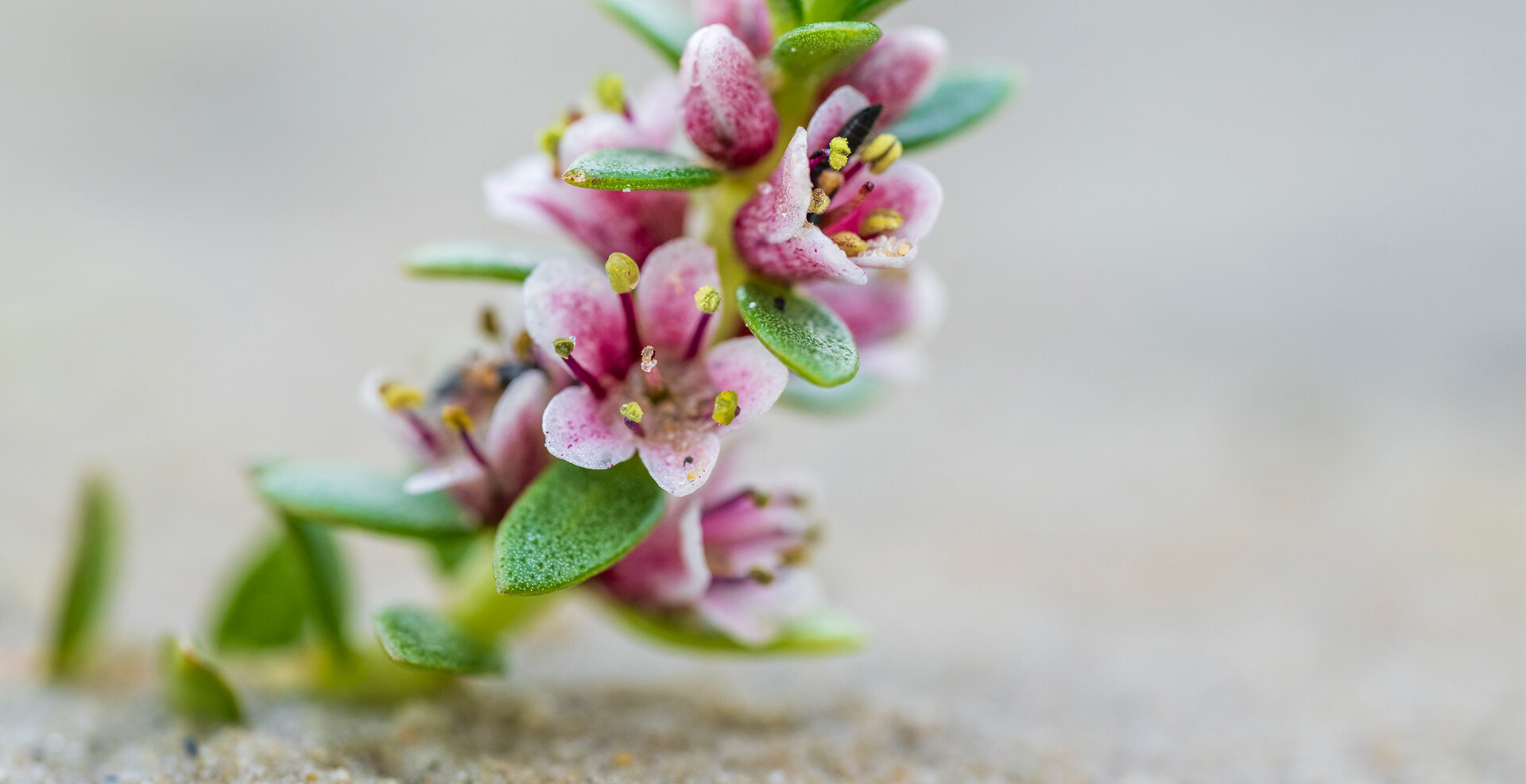 Inspiration<span>Natur</span>