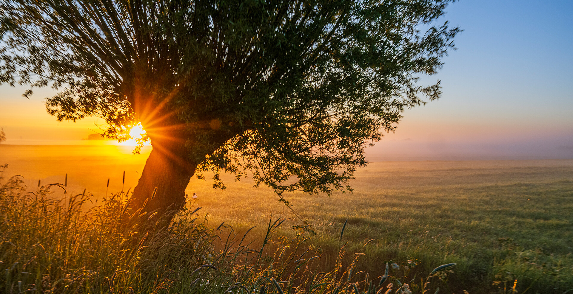 Inspiration<span>Natur</span>