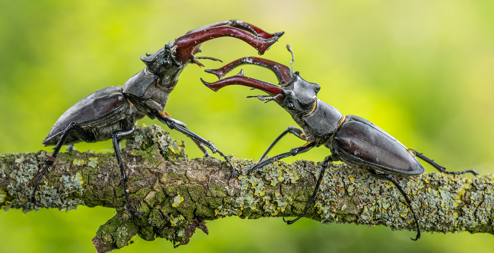 Inspiration<span>Natur</span>