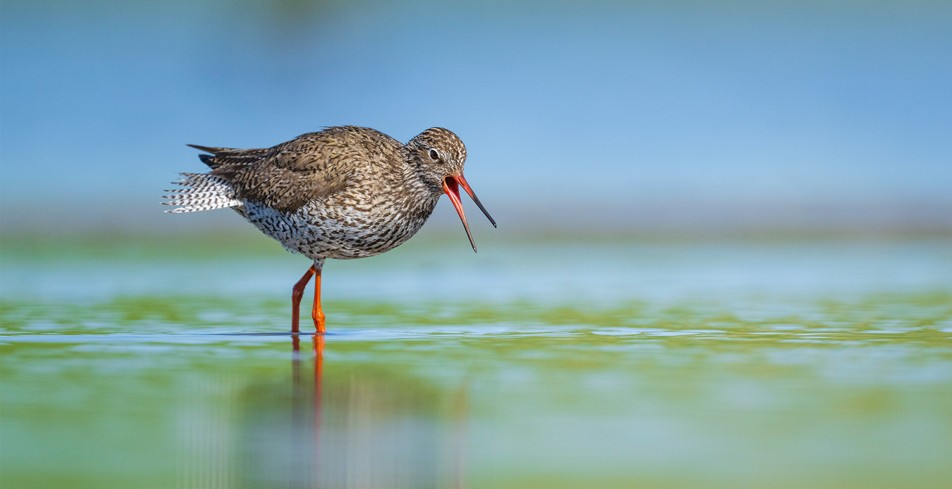 Inspiration<span>Natur</span>