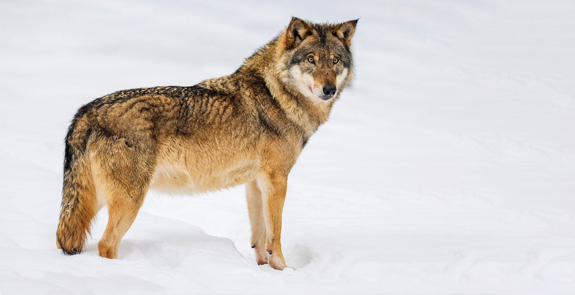 Inspiration<span>Natur</span>